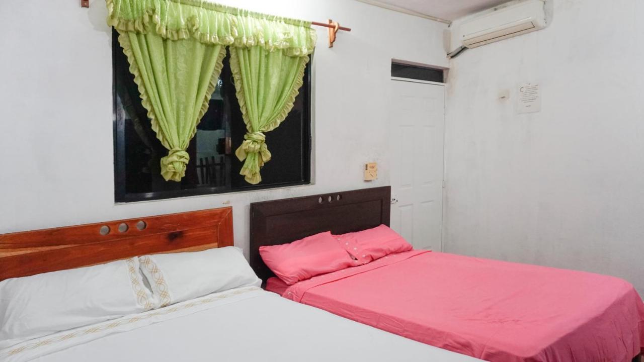 Hotel D'Concepcion 티지민 외부 사진