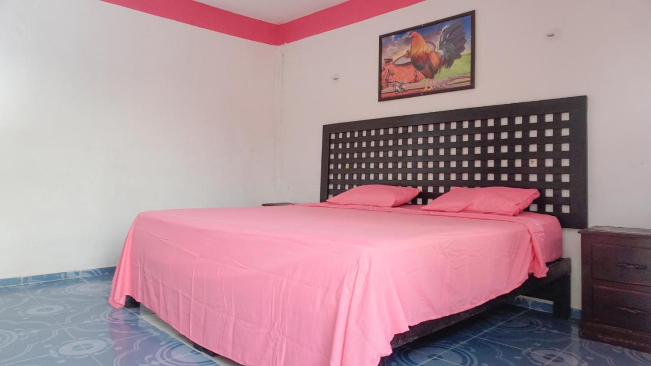 Hotel D'Concepcion 티지민 외부 사진