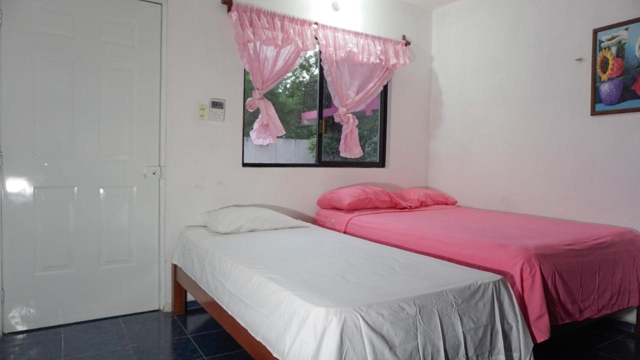 Hotel D'Concepcion 티지민 외부 사진